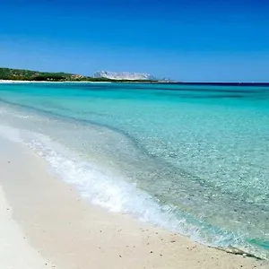Indipendente Al Mare Budoni Casa vacanze
